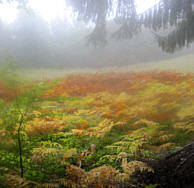 Wrthersee Ultratrail 2010