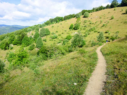 Mara-Trail Ballon d'Alsac