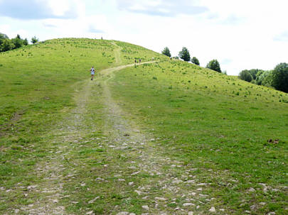 Mara-Trail Ballon d'Alsac