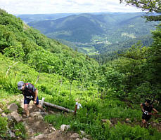 Mara-Trail Ballon d'Alsac