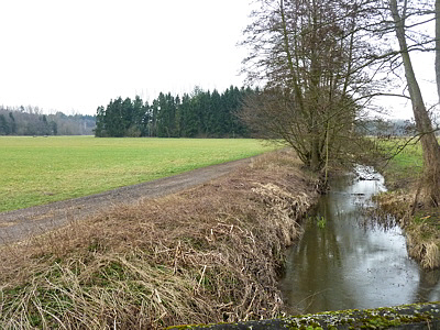 Bienwald Marathon 2011