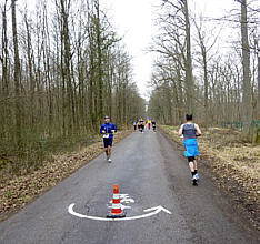 Bienwald Marathon 2011