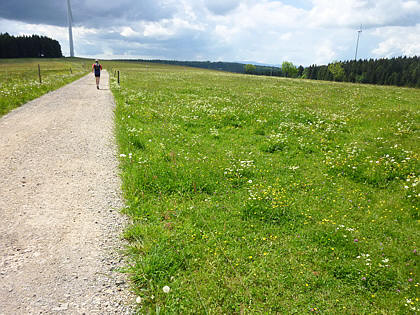 Black Forest Trailrun 2011