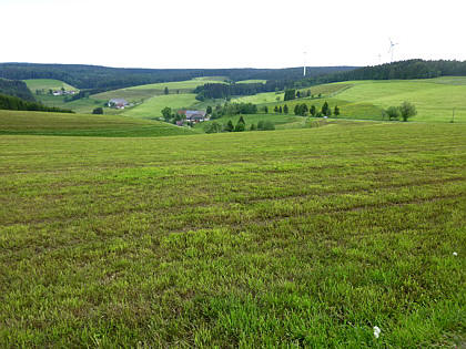 Black Forest Trailrun 2011