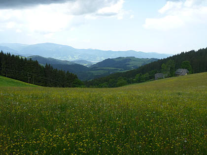 Black Forest Trailrun 2011