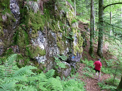 Black Forest Trailrun 2011