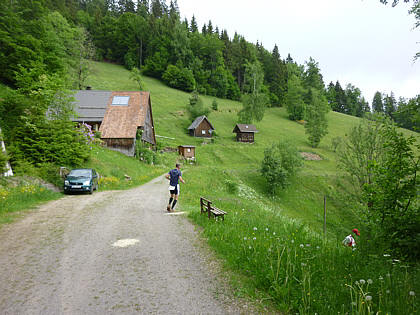 Black Forest Trailrun 2011