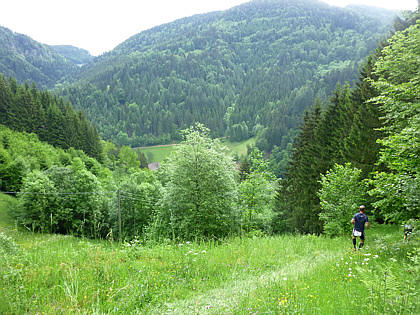 Black Forest Trailrun 2011