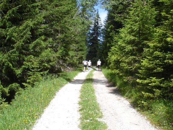 Brixen-Marathon 2011