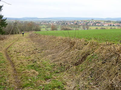 Brocken Challenge 2011