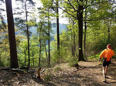 Grand Defi des Vosges 2011