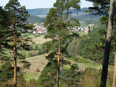 Grand Defi des Vosges 2011