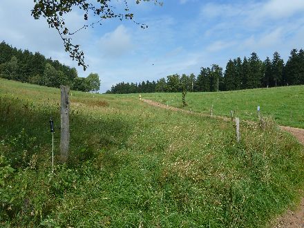 Panoramatour Schsische Schweiz