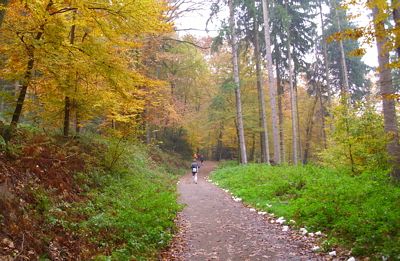 Rntgenlauf 2011