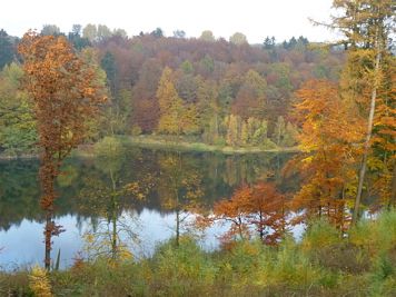 Rntgenlauf 2011