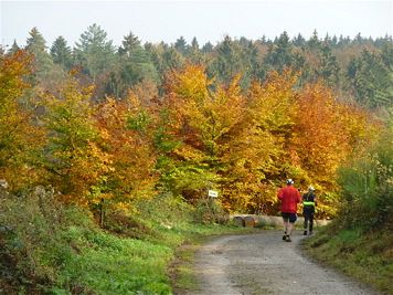 Rntgenlauf 2011