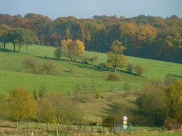 Rntgenlauf 2011