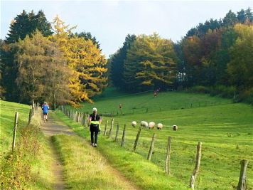 Rntgenlauf 2011