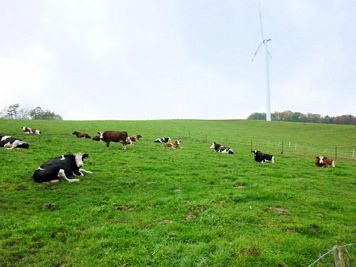 Rntgenlauf 2011