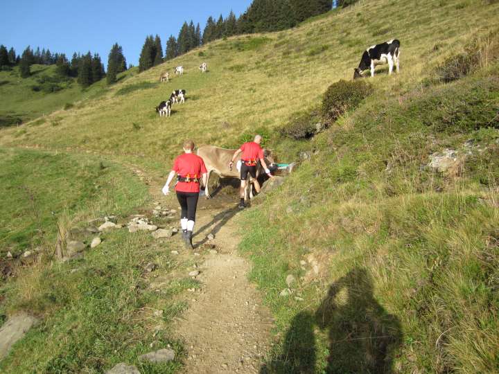 Allgu Panorama Ultra-Trail Sonthofen 2011