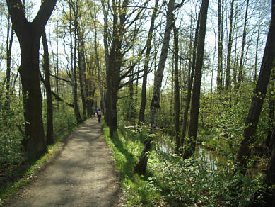 Spreewald Marathon 2011