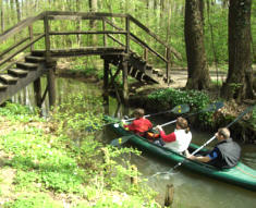 Spreewald Marathon 2011