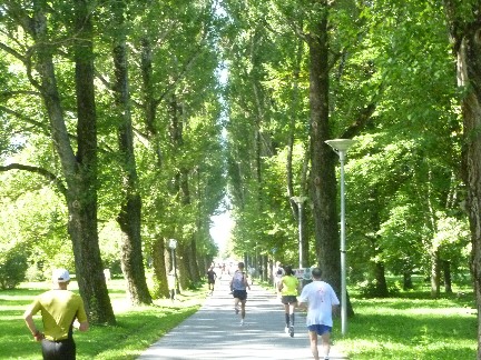 Tallinn Marathon 2011