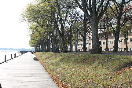 Vxj Marathon 2011