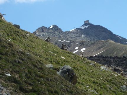 Zermatt Ultramarathon 2011