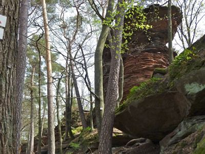 Grand Defi des Vosges 2012