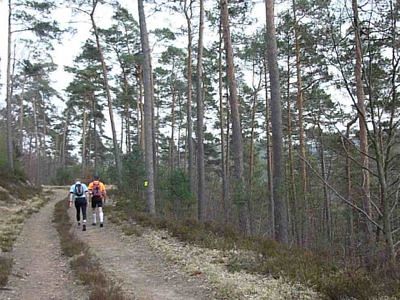 Grand Defi des Vosges 2012