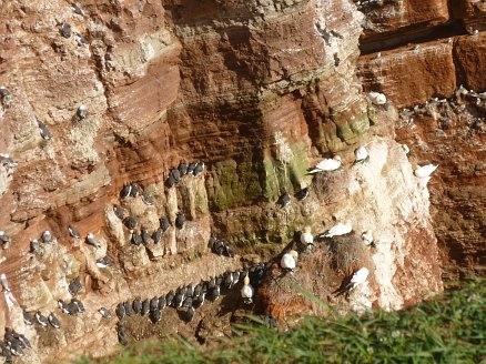 Helgoland Marathon 2012