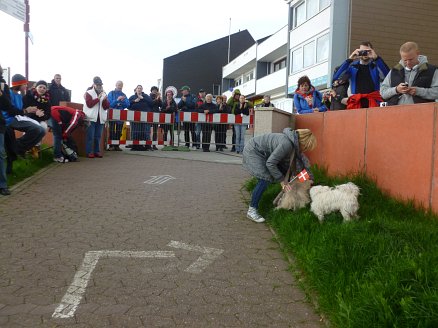 Helgoland Marathon 2012