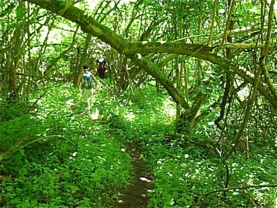 Keufelskopf Ultra 2012