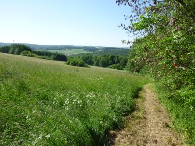 Keufelskopf Ultra 2012