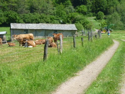 Keufelskopf Ultra 2012