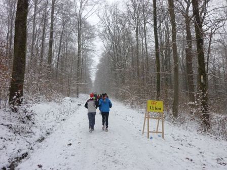 Nikolauslauf Tbingen 2012