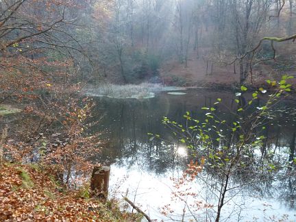 Rntgenlauf 2012