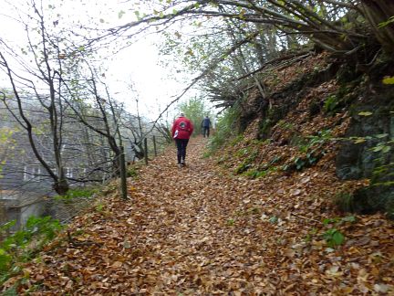 Rntgenlauf 2012