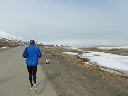 Spitzbergen Marathon 2012