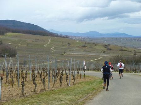 Trail du Petit Ballon 2012