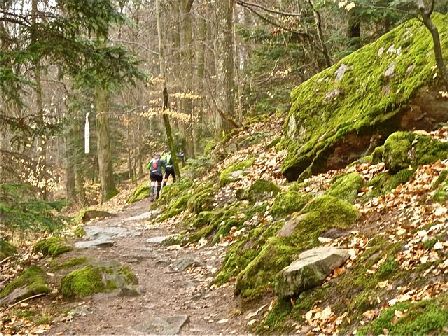 Trail du Petit Ballon 2012