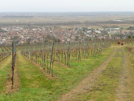 Trail du Petit Ballon 2012