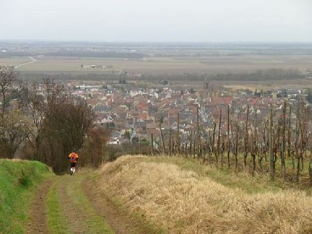 Trail du Petit Ballon 2012