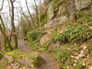 Trail du Petit Ballon 2012