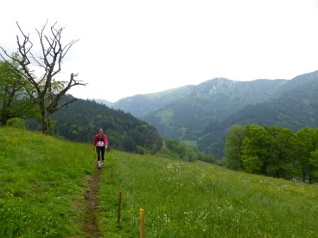 Black Forest Trail Maniak 2013