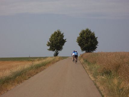 Einstein Triathlon Ulm 2013