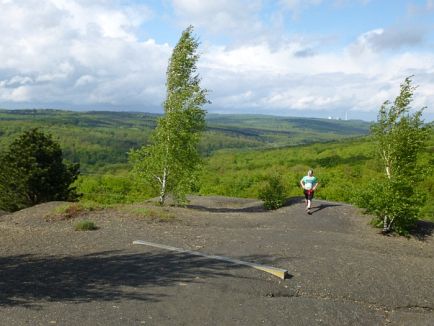 Hartfssler Trail 2013