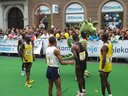 Ljubljana Marathon 2013