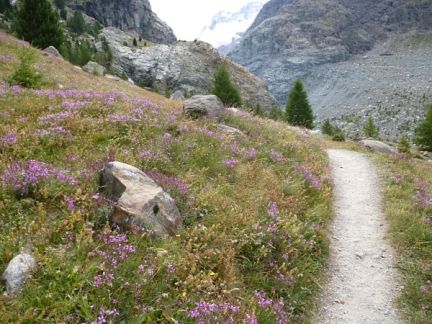 Matterhorn Ultraks 2013